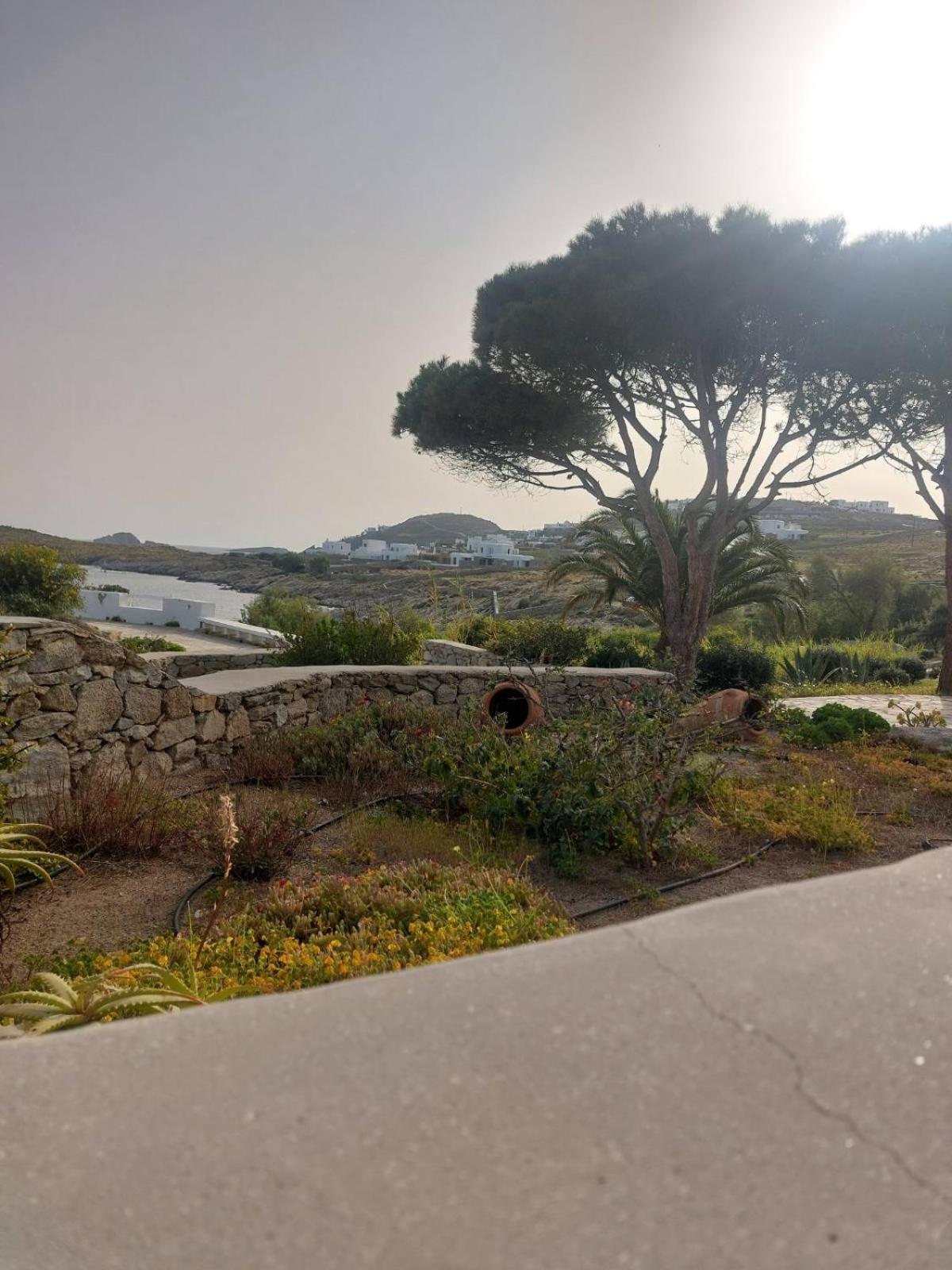 Mykonian House With Shared Pool *